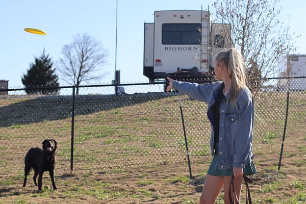 playing fetch at rv park paradise tx