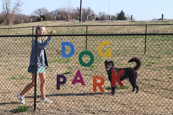 A girl and her dog are standing in front of the fence.