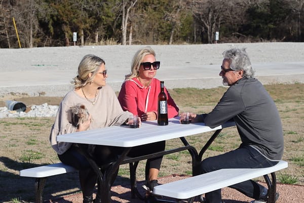 A group of people sitting at picnic tables with a dog.