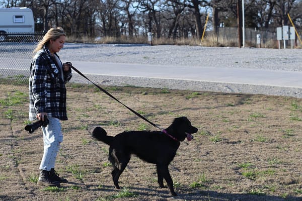 A woman walking her dog on a leash.